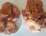 Foto del paso 1 de la receta: Rovellons al tomillo
