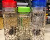 Foto langkah ke 1 dari resep Infused Water (9) Pelengkap Bekal Makan Siang.