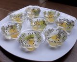 Foto langkah ke 5 dari resep Puding nutrijel.