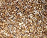 A picture of step 1 of Sprouted salad papad.