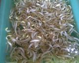 Foto langkah ke 3 dari resep Sup Jamur Bihun Galantin.
