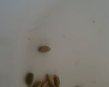 A picture of step 4 of Eid treats.