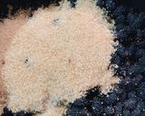 รูปขั้นตอนการทำที่ 2 ของ แยมมัลเบอร์รี่สด Mulberry Jam