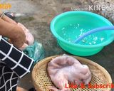 Hình bước làm 1 của món Bao Tử Khìa Nước Dừa