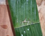 Foto langkah ke 1 dari resep Sayur Tauco Khas Medan.