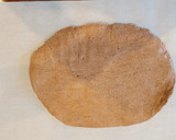 Foto del paso 3 de la receta: Alfajores de chocolate