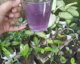 Foto langkah ke 5 dari resep Wedang jahe sereh Telang feat jeruk nipis.