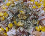Foto del paso 5 de la receta: Choclo, pollo y jardinera