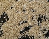 A picture of step 1 of Tahini Paste batch 2.