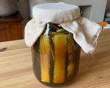 A picture of step 4 of Tepache experiment - fermented pineapple drink.
