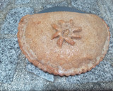 Foto del paso 6 de la receta: Empanada 🥟Grande de Verduras