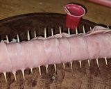 Foto del paso 1 de la receta: Picadita en Marcha...Salchichas y Panceta Fiambre.. Infaltable!