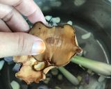 Gambar langkah 3 resipi Singgang ikan.
