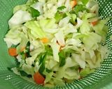 Foto langkah ke 1 dari resep Sayur sop.