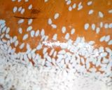 A picture of step 1 of Til dry fruits chikki (winter special).