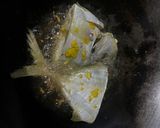 Foto langkah ke 4 dari resep Ikan Goreng Gurih dan Simpel.