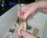 Foto del paso 3 de la receta: Calamares (3 formas de hacerlos) como limpiarlos