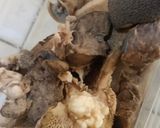 Foto langkah ke 1 dari resep Usik Kambing.