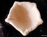 A picture of step 2 of Crispy Edible Diyas filled with Pasta Chat.