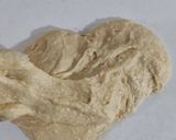 Foto del paso 5 de la receta: Rolles de Canela