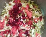 મિક્સ સલાડ (Mix Salad Recipe In Gujarati) રેસીપી સ્ટેપ2ફોટો