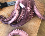 Foto del paso 18 de la receta: Pulpo a la gallega “polbo a feira”