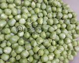 A picture of step 1 of Aloo matar gravy with Hari pyaz ki bhujiya.