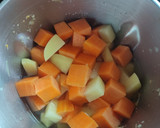 Foto del paso 3 de la receta: Crema de calabaza en Mambo