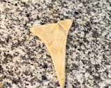 Foto del paso 5 de la receta: Medialunas de manteca