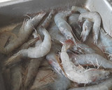 Foto del paso 1 de la receta: Tartar de aguacate y gambas