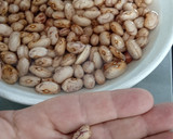 Foto del paso 1 de la receta: Crema de alubias pintas y manitas