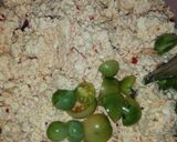 Foto langkah ke 2 dari resep Pepes tahu sederhana.