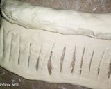 A picture of step 17 of Fusion of chicken bread.
