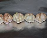 Foto del paso 2 de la receta: Crema de ajos