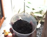 Foto langkah ke 2 dari resep Regal Dessert Box.