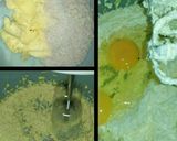 Foto langkah ke 1 dari resep BOLU SUSU MARMER 2 Telur.