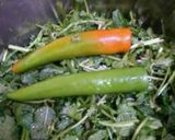 A picture of step 1 of Dips & sauces mint chutney with curd.