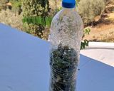 Φωτογραφία βήματος 5 της συνταγής Αγγουράκια (καπαρόμηλα) και φύλλα κάπαρης από Άνδρο Αντώνης