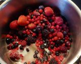 Foto del paso 1 de la receta: Tarta de mousse de frutos rojos (sin horno)