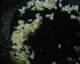 Foto langkah ke 4 dari resep Sosis Asam Manis.