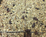 Foto del paso 4 de la receta: Barritas de Avena veganas