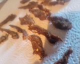A picture of step 8 of Spicy Sweet-Heat Monroan Pork Jerky.