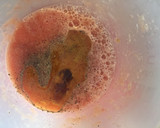 Foto del paso 7 de la receta: Gazpacho