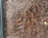 A picture of step 4 of Coconut Dates Dryfruit Burfi.