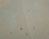 A picture of step 8 of Pizza samosa.