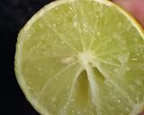 A picture of step 1 of Papaya chat.