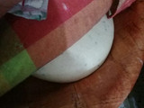 المطلوع (الخميرة)