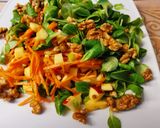 Salat aus Möhre Frühlingszwiebel und Feldsalat Rezeptschritt 5 Foto