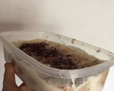 Foto del paso 4 de la receta: Tiramisú fácil