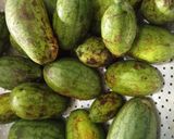 Hình bước làm 1 của món Dưa hấu non kho ngót